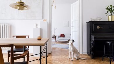 Photo of Современный стиль в домашнем дизайне